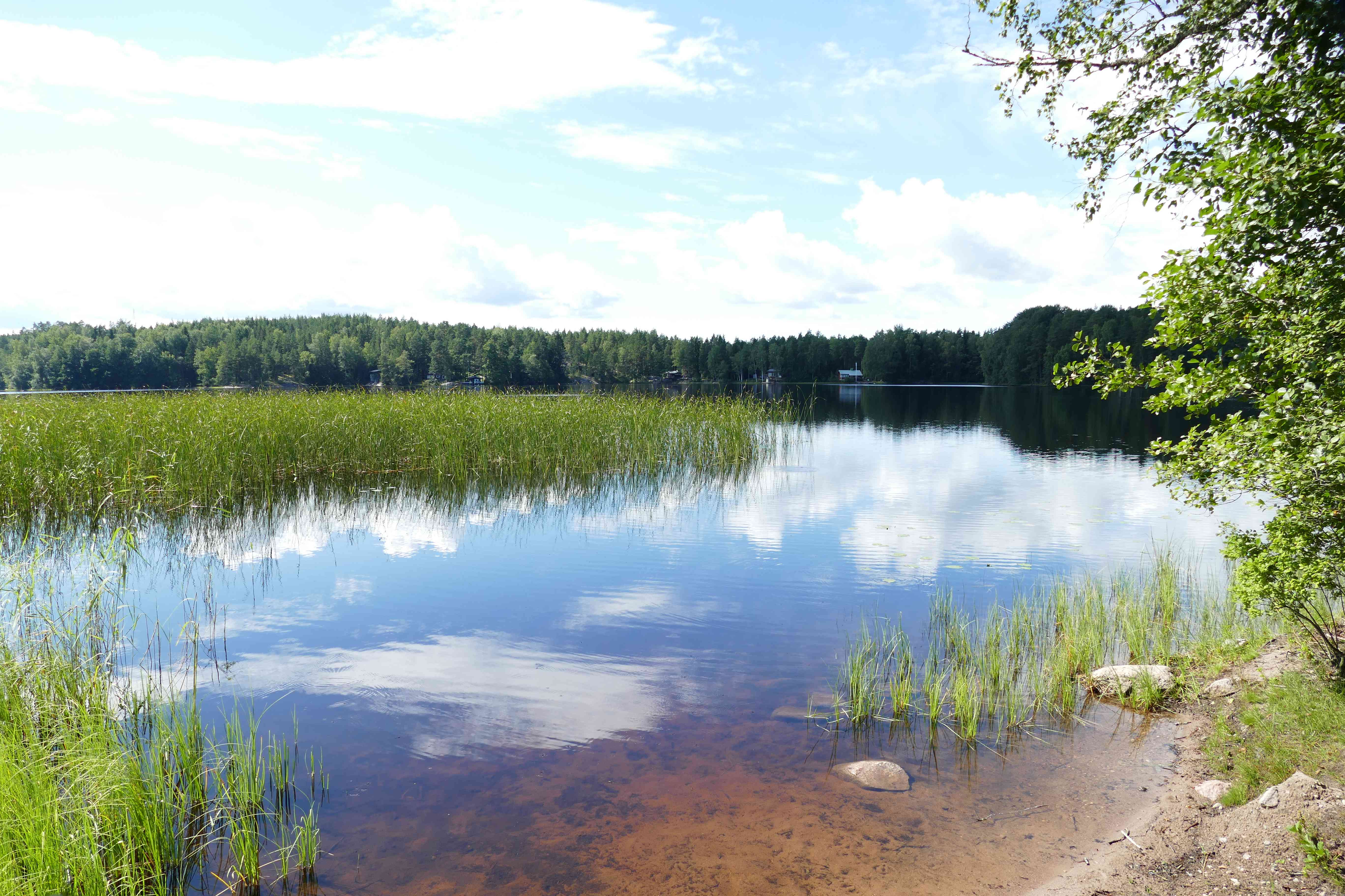 im Teijo Nationalpark