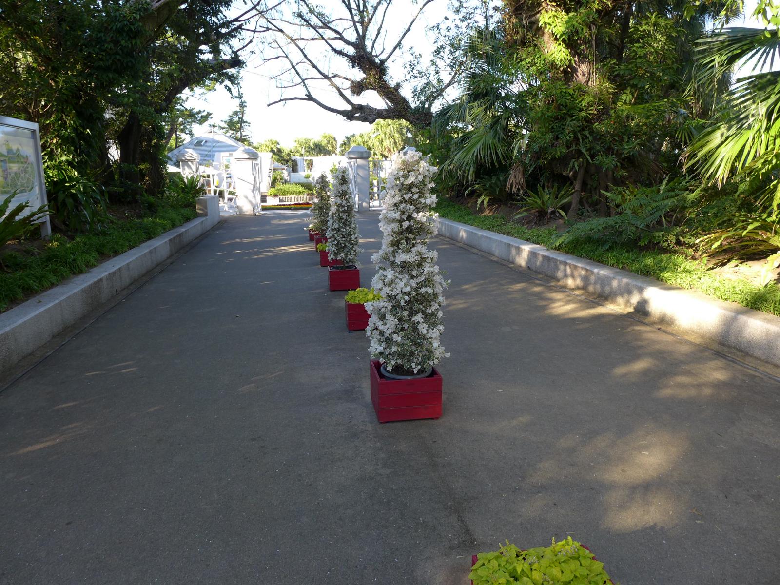 Aoshima Island  Botanischer Garten