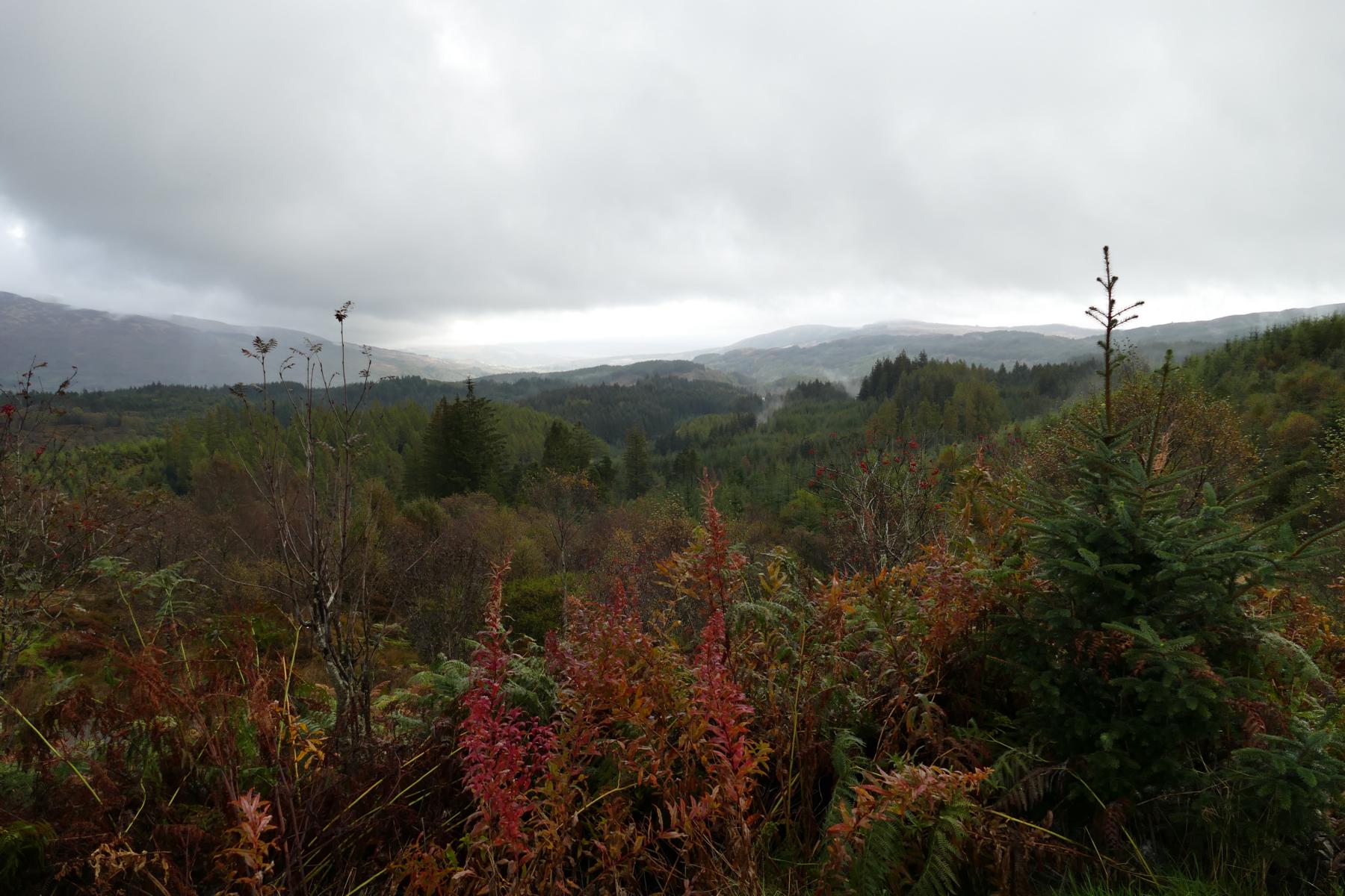 Trossachs Trail  ;  Three Loch Forest Drive