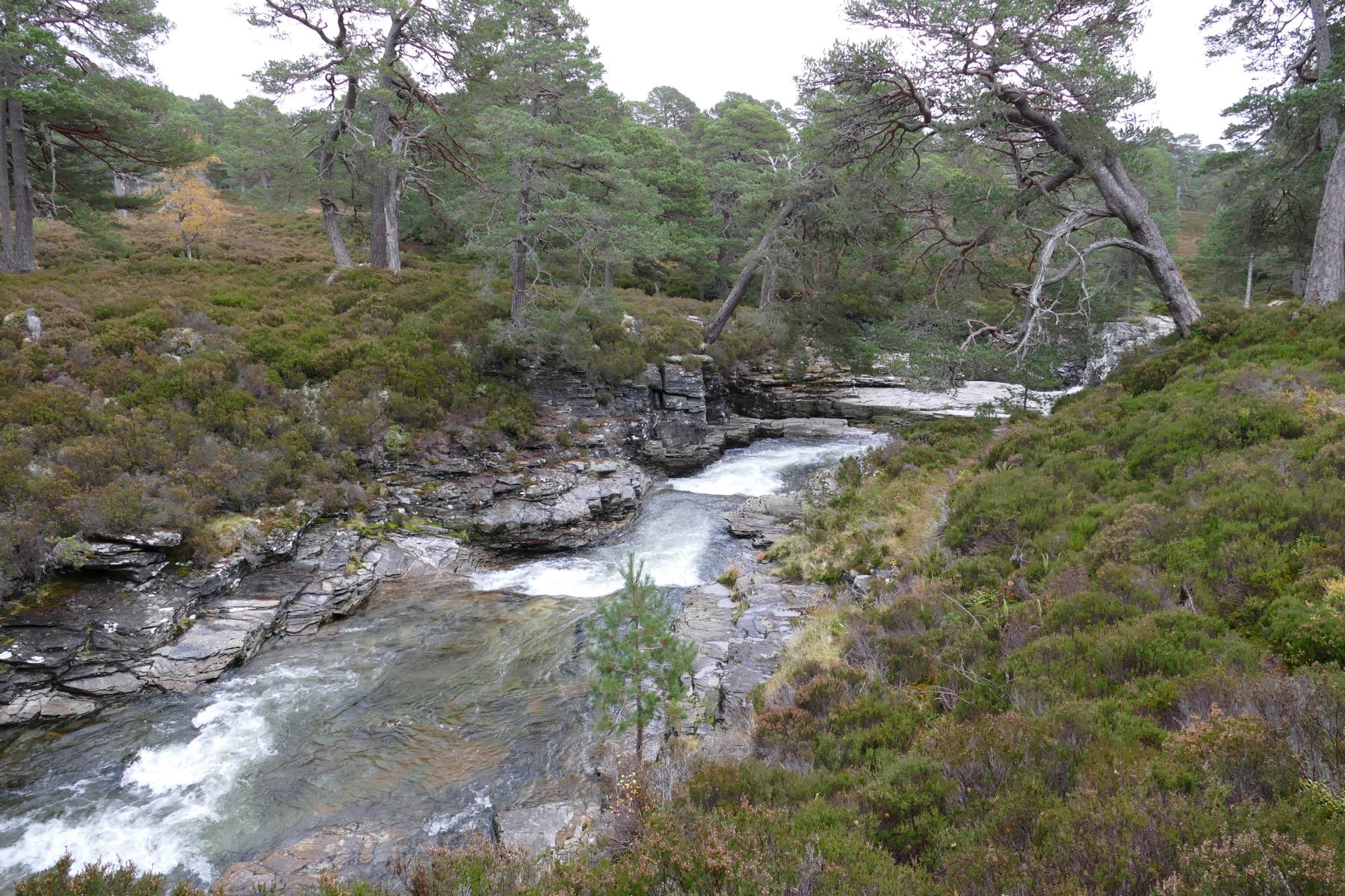 Linn of Dee  Wanderung