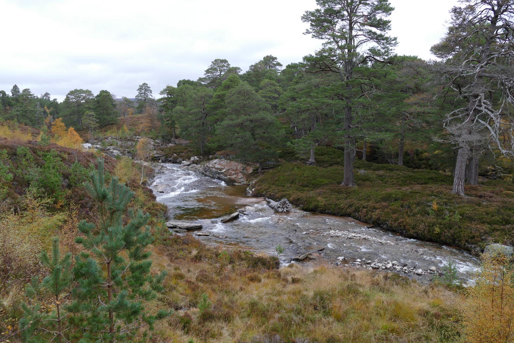 Linn of Dee  Wanderung